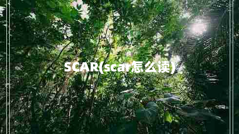 SCAR(scar怎么读)