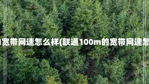 100m的宽带网速怎么样(联通100m的宽带网速怎么样？)