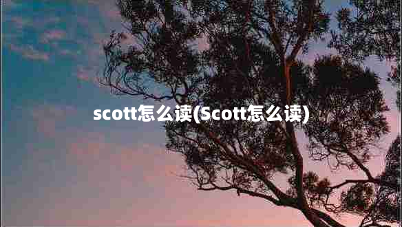 scott怎么读(Scott怎么读)