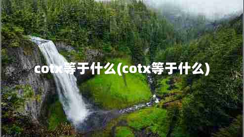 cotx等于什么(cotx等于什么)