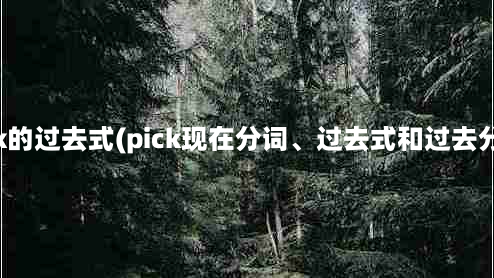 pick的过去式(pick现在分词、过去式和过去分词)