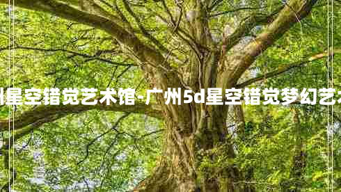 广州星空错觉艺术馆-广州5d星空错觉梦幻艺术馆