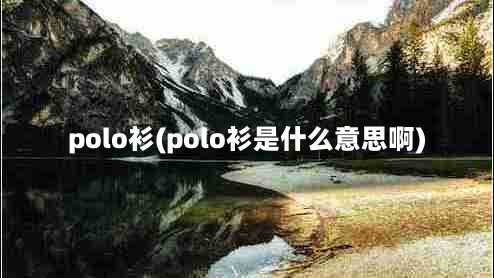 polo衫(polo衫是什么意思啊)