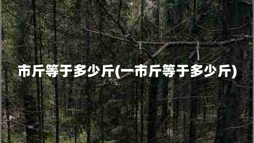 市斤等于多少斤(一市斤等于多少斤)