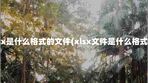 xlsx是什么格式的文件(xlsx文件是什么格式？)