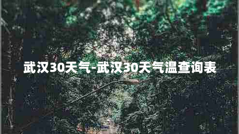 武汉30天气-武汉30天气温查询表