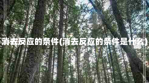 消去反应的条件(消去反应的条件是什么)