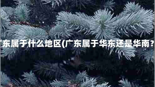 广东属于什么地区(广东属于华东还是华南？)