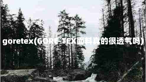 goretex(GORE-TEX面料真的很透气吗)