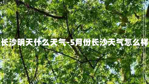 长沙明天什么天气-5月份长沙天气怎么样