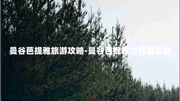 曼谷芭提雅旅游攻略-曼谷芭提雅六日游攻略