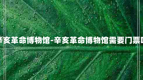 辛亥革命博物馆-辛亥革命博物馆需要门票吗