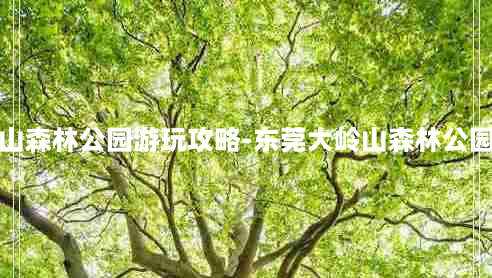 东莞大岭山森林公园游玩攻略-东莞大岭山森林公园游玩路线