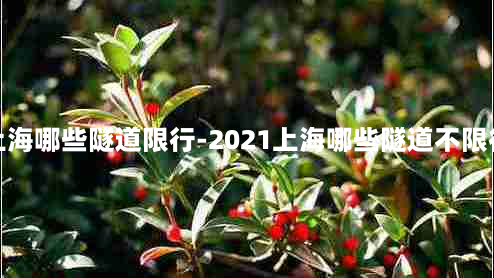 上海哪些隧道限行-2021上海哪些隧道不限行