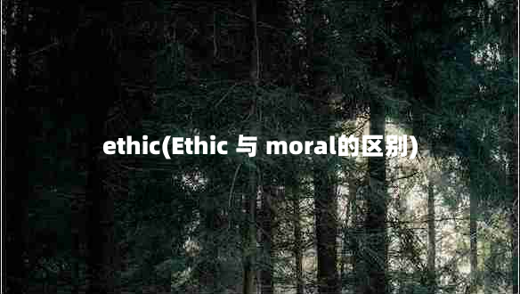 ethic(Ethic 与 moral的区别)