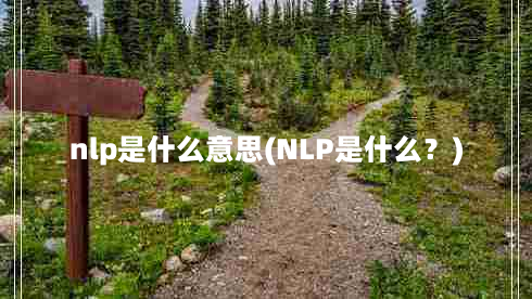 nlp是什么意思(NLP是什么？)