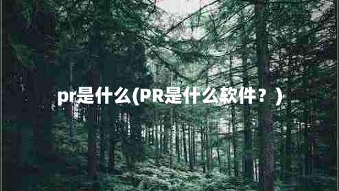 pr是什么(PR是什么软件？)