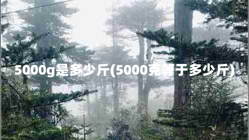 5000g是多少斤(5000克等于多少斤)