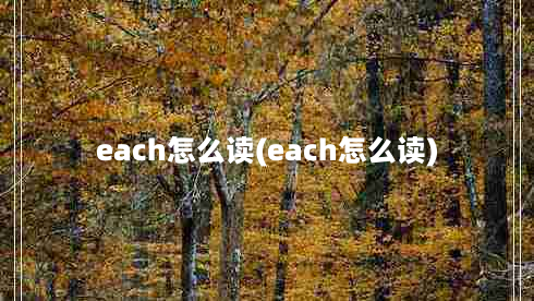 each怎么读(each怎么读)