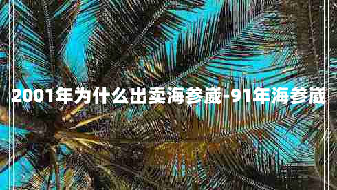 2001年为什么出卖海参崴-91年海参崴