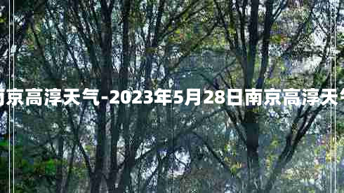 南京高淳天气-2023年5月28日南京高淳天气