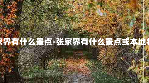 张家界有什么景点-张家界有什么景点或本地特产