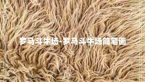 罗马斗牛场-罗马斗牛场简笔画