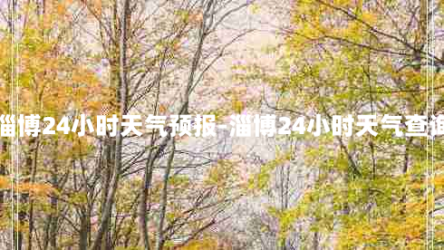 淄博24小时天气预报-淄博24小时天气查询