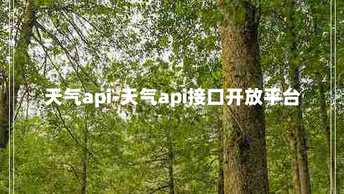 天气api-天气api接口开放平台