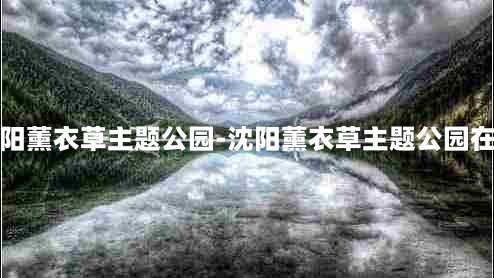 沈阳薰衣草主题公园-沈阳薰衣草主题公园在哪