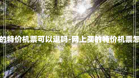 网上买的特价机票可以退吗-网上买的特价机票怎么取票