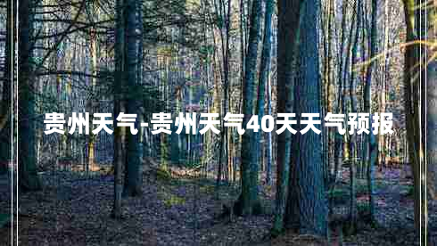 贵州天气-贵州天气40天天气预报