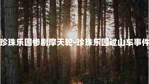 珍珠乐园惨剧摩天轮-珍珠乐园过山车事件