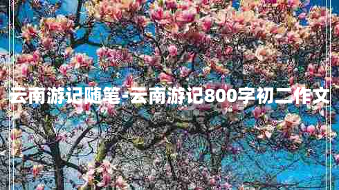 云南游记随笔-云南游记800字初二作文