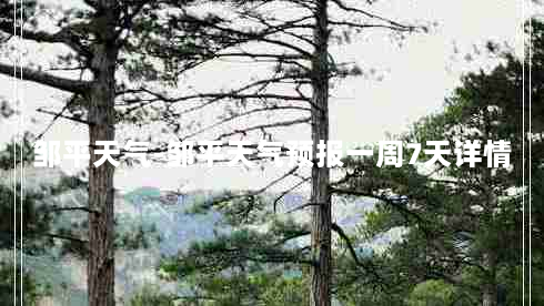 邹平天气-邹平天气预报一周7天详情