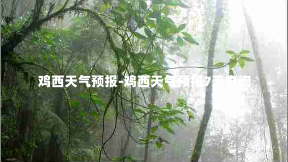 鸡西天气预报-鸡西天气预报7天查询