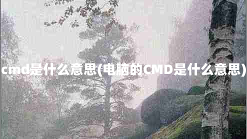 cmd是什么意思(电脑的CMD是什么意思)