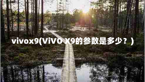 vivox9(ViVO X9的参数是多少？)