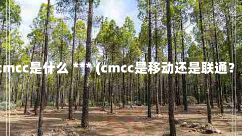 cmcc是什么 *** (cmcc是移动还是联通？)