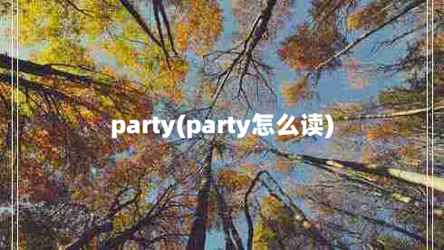 party(party怎么读)