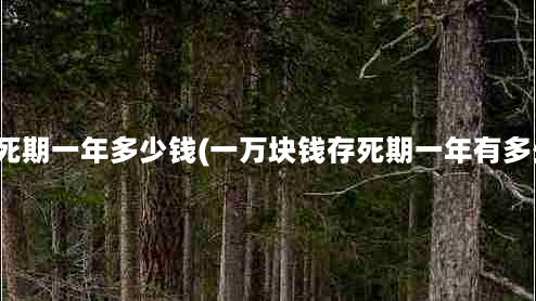 一万块死期一年多少钱(一万块钱存死期一年有多少利息)