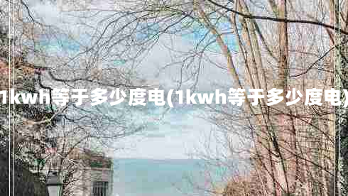 1kwh等于多少度电(1kwh等于多少度电)