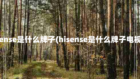 hisense是什么牌子(hisense是什么牌子电视机)