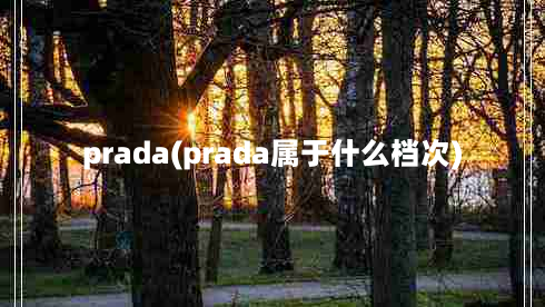 prada(prada属于什么档次)