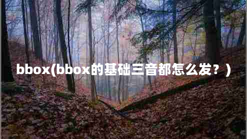 bbox(bbox的基础三音都怎么发？)