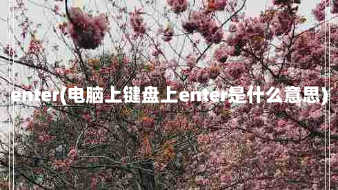 enter(电脑上键盘上enter是什么意思)