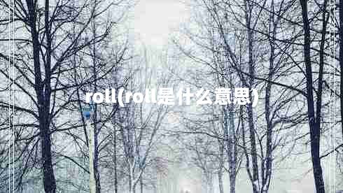 roll(roll是什么意思)