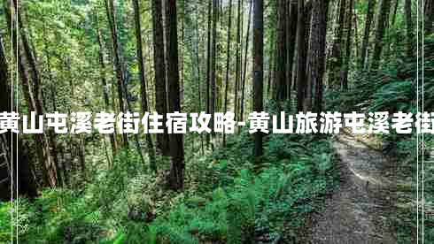 黄山屯溪老街住宿攻略-黄山旅游屯溪老街