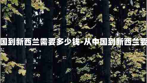 从中国到新西兰需要多少钱-从中国到新西兰要多久