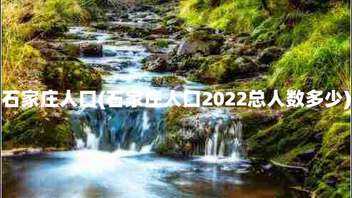 石家庄人口(石家庄人口2022总人数多少)